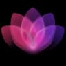 Logo BloomyCast